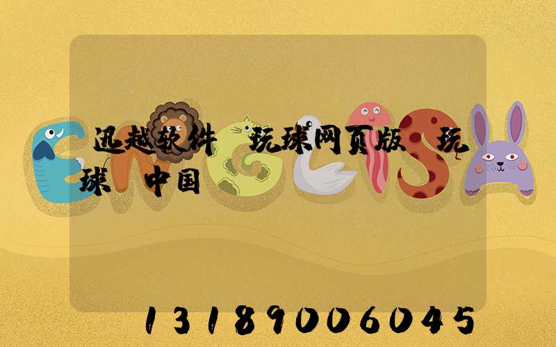 迅越软件 玩球网页版-玩球（中国）erp